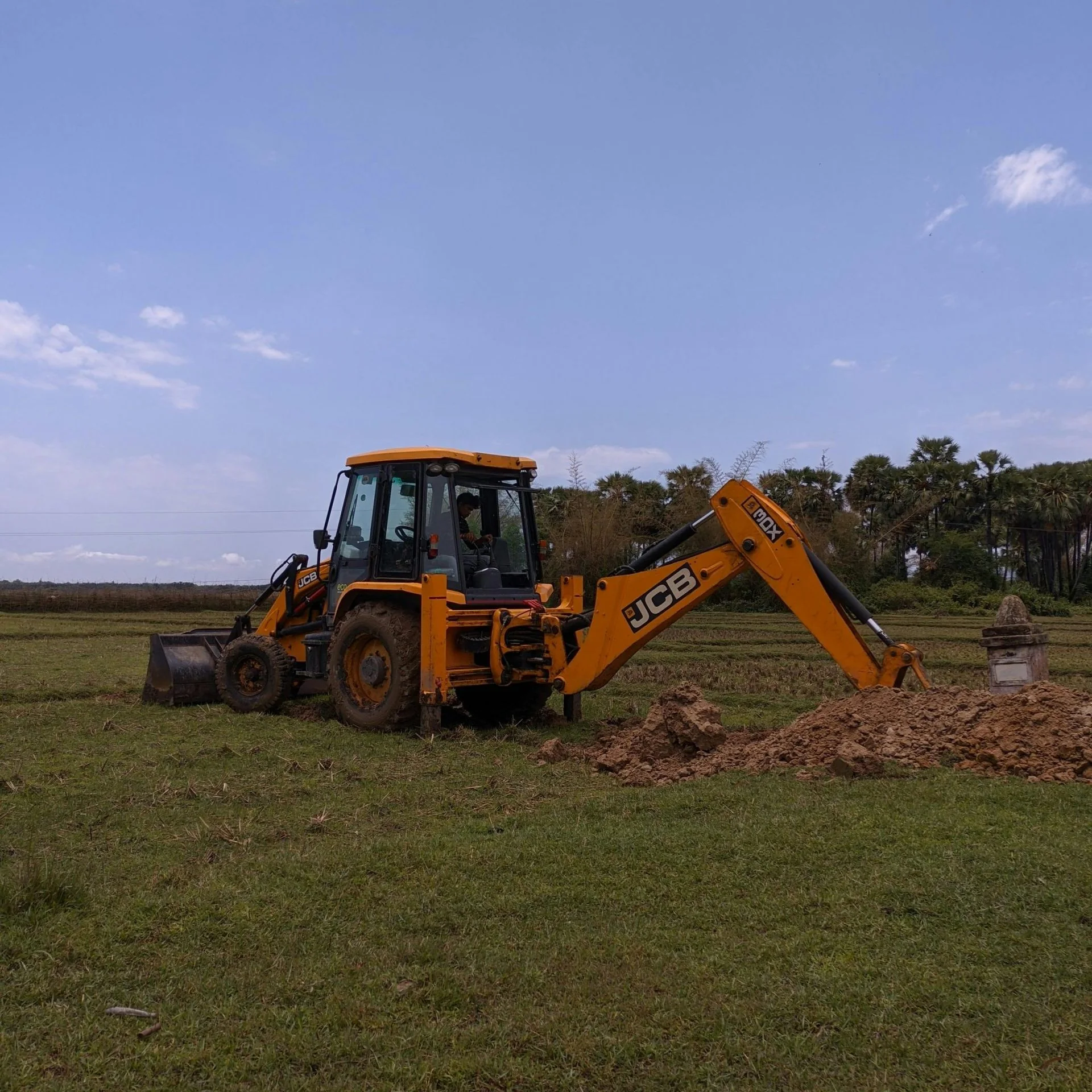 Land Clearing Services in Ormond Beach | Ormond Land Clearing